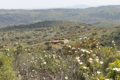 182-e1455518901794