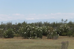 187-e1455518809762